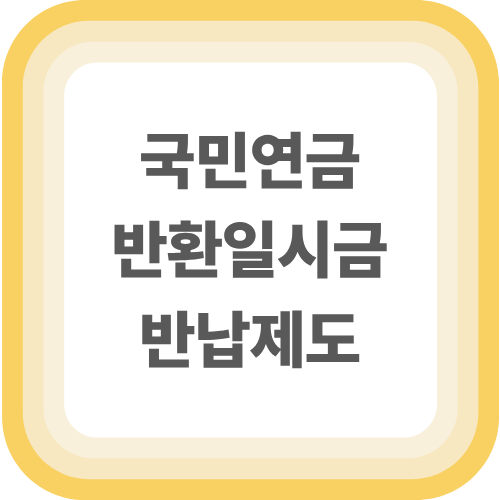 국민연금 반환일시금 반납제도