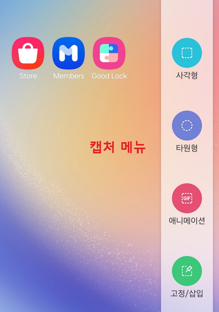 캡처 메뉴 보임