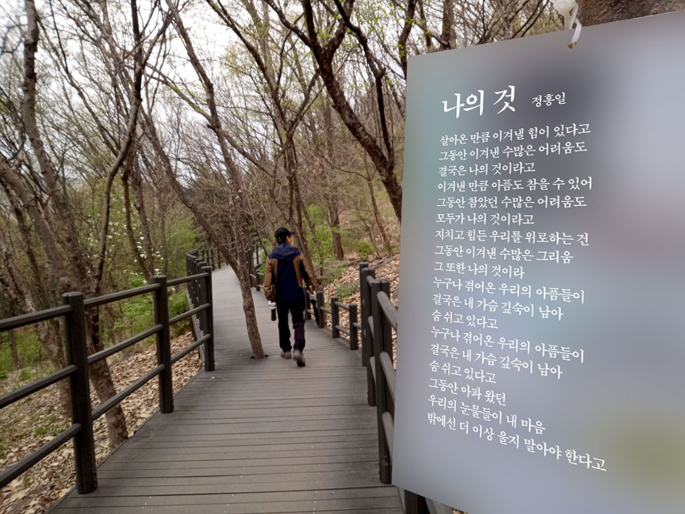 레드원(RedOne) 정홍일(JeongHongil)의 나의것