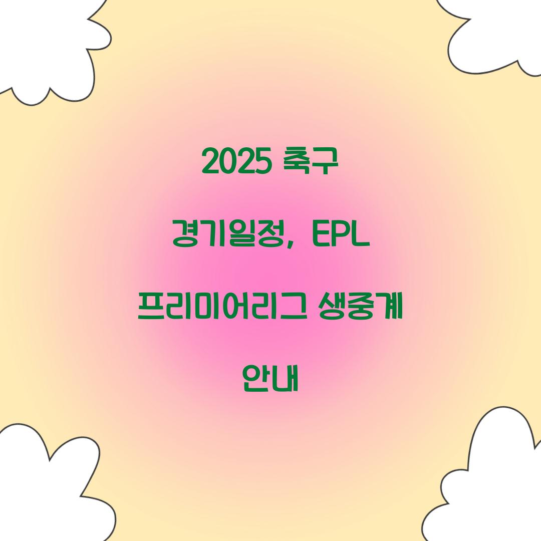 2025 축구 경기일정