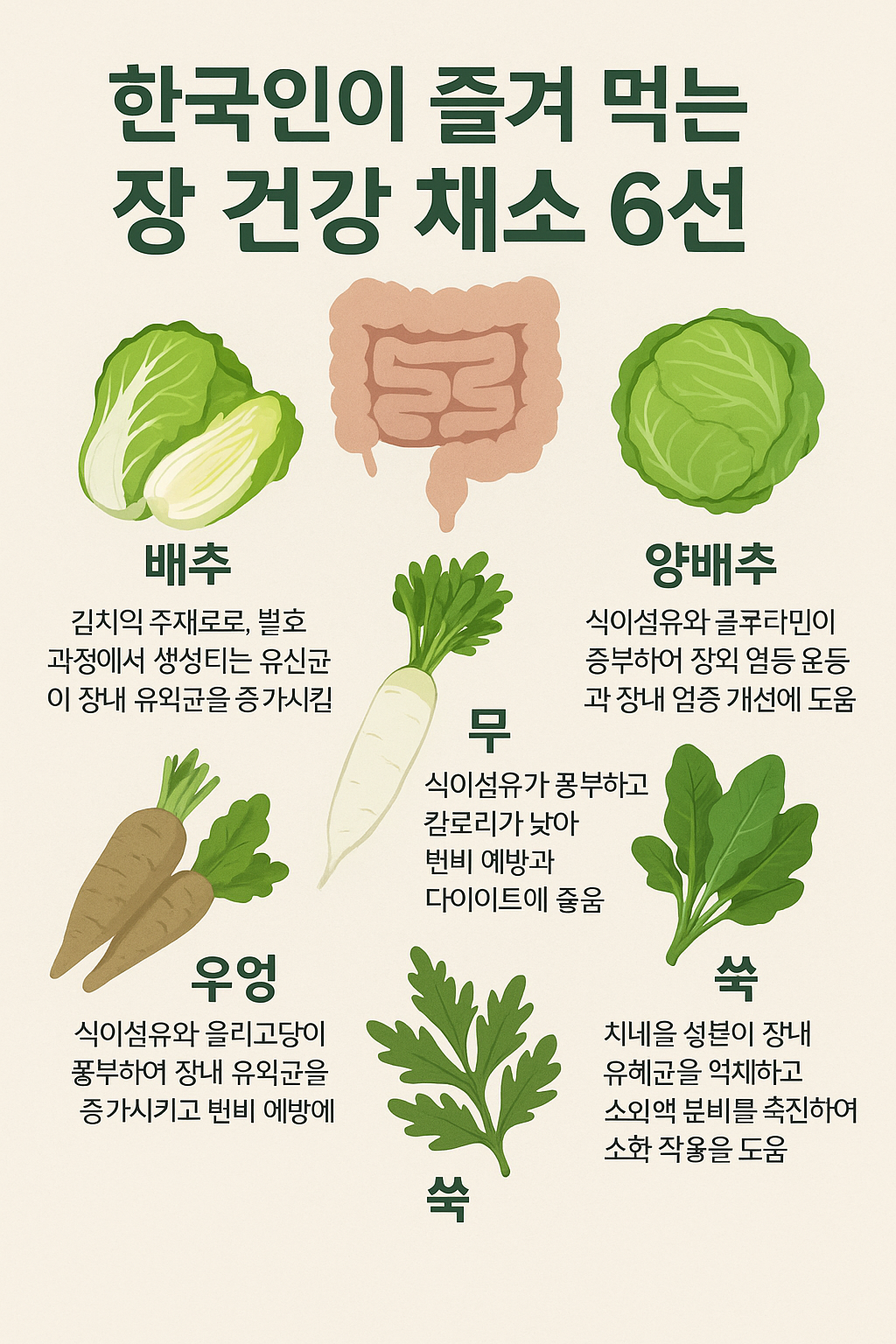 한국인이 즐겨 먹는 장 건강 채소 이미지