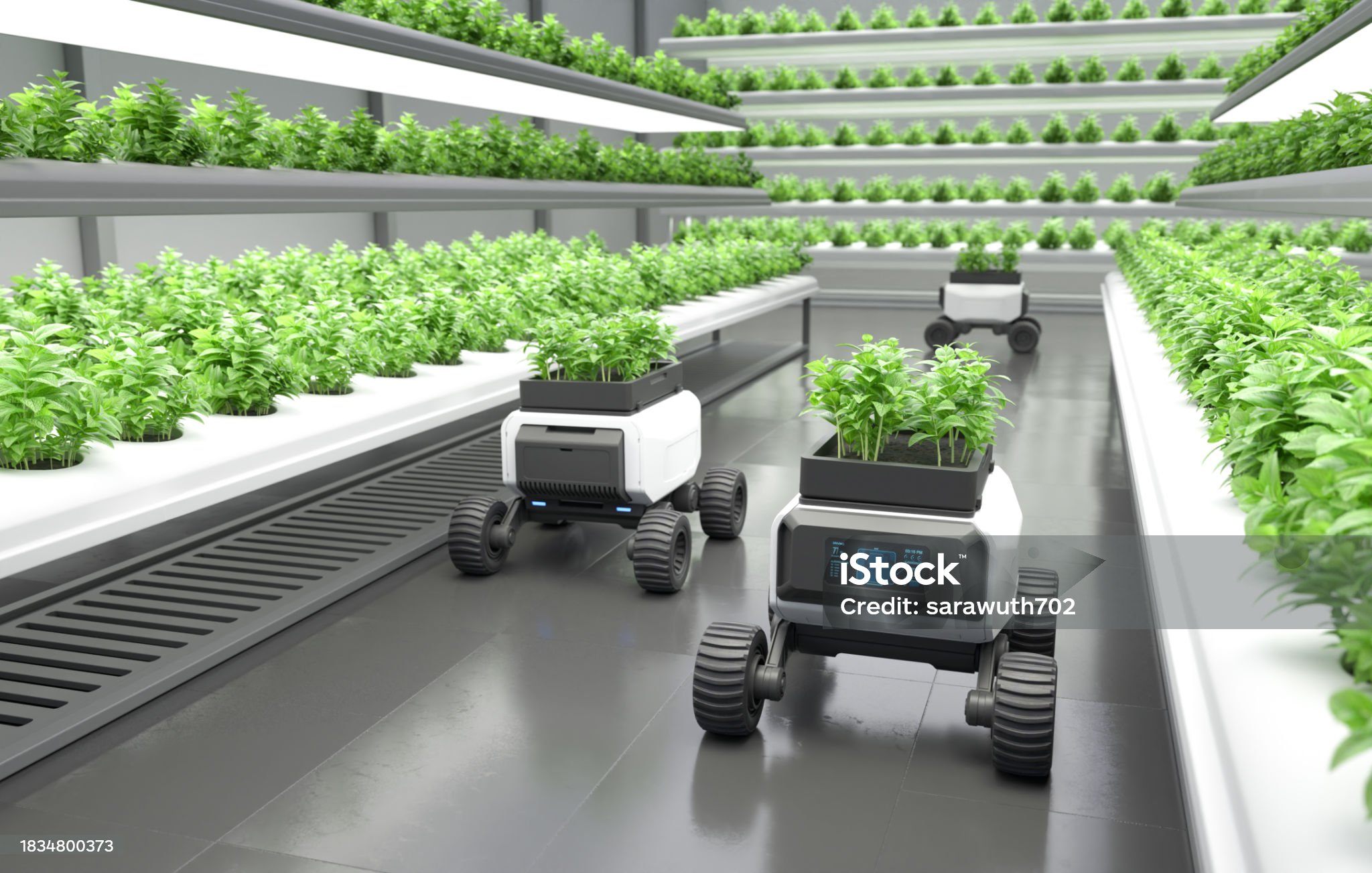 스마트팜 빅데이터 분석