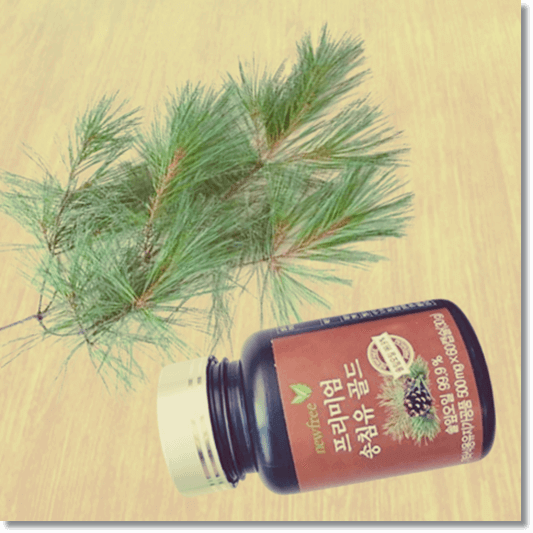 적송유 효능 및 활성 성분 활용법과 주의점