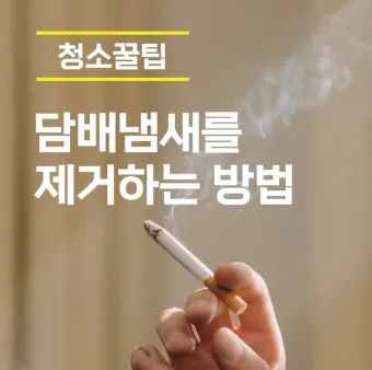 담배 냄새 커튼 탈취 식초분무와 통풍 방향제 대신_5