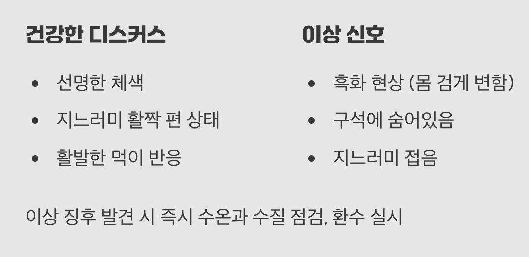 디스커스가 보내는 건강 신호