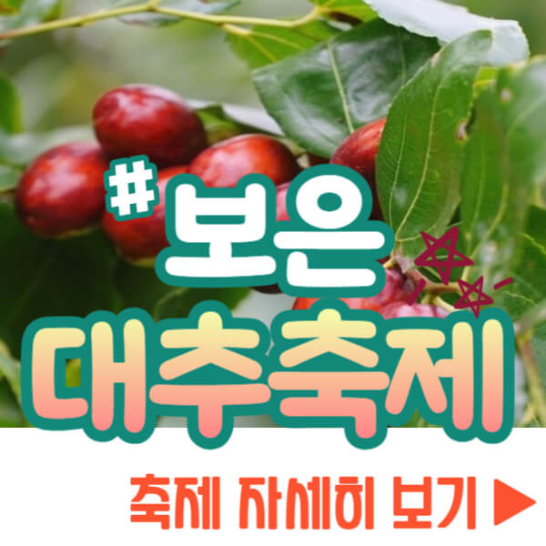 보은 대추축제 자세히 보기