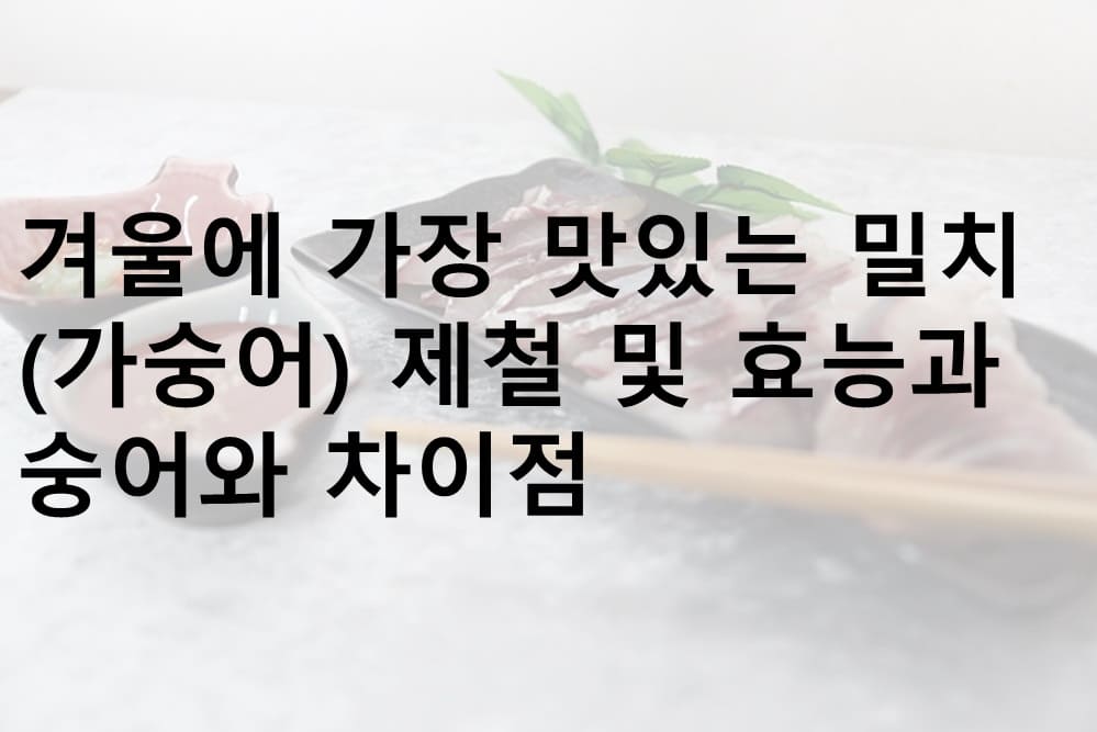 밀치, 가숭어, 참숭어, 밀치 제철, 밀치 효능, 숭어와 차이, 겨울 밀치, 겨울 가숭어, 겨울 참숭어