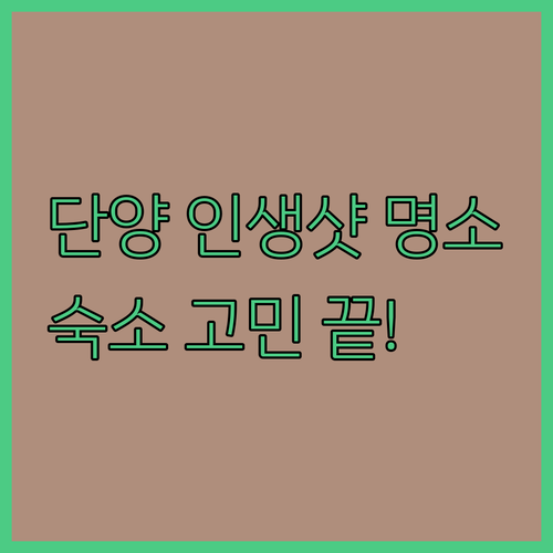 단양 가볼만한곳 가로수길 인생사진 명..