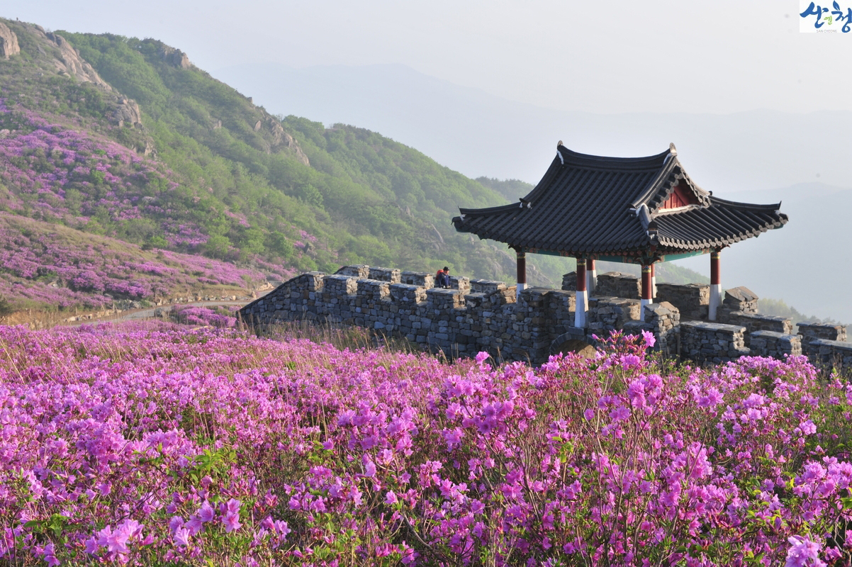 산청세계전통의약 항노화엑스포 주변 관광지