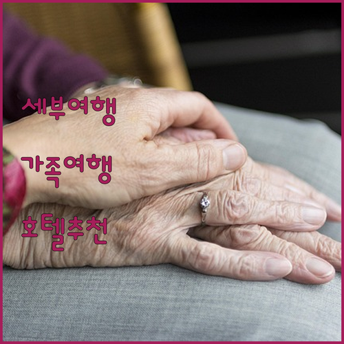 가족 여행객을 위한 세부 추천 호텔 ..