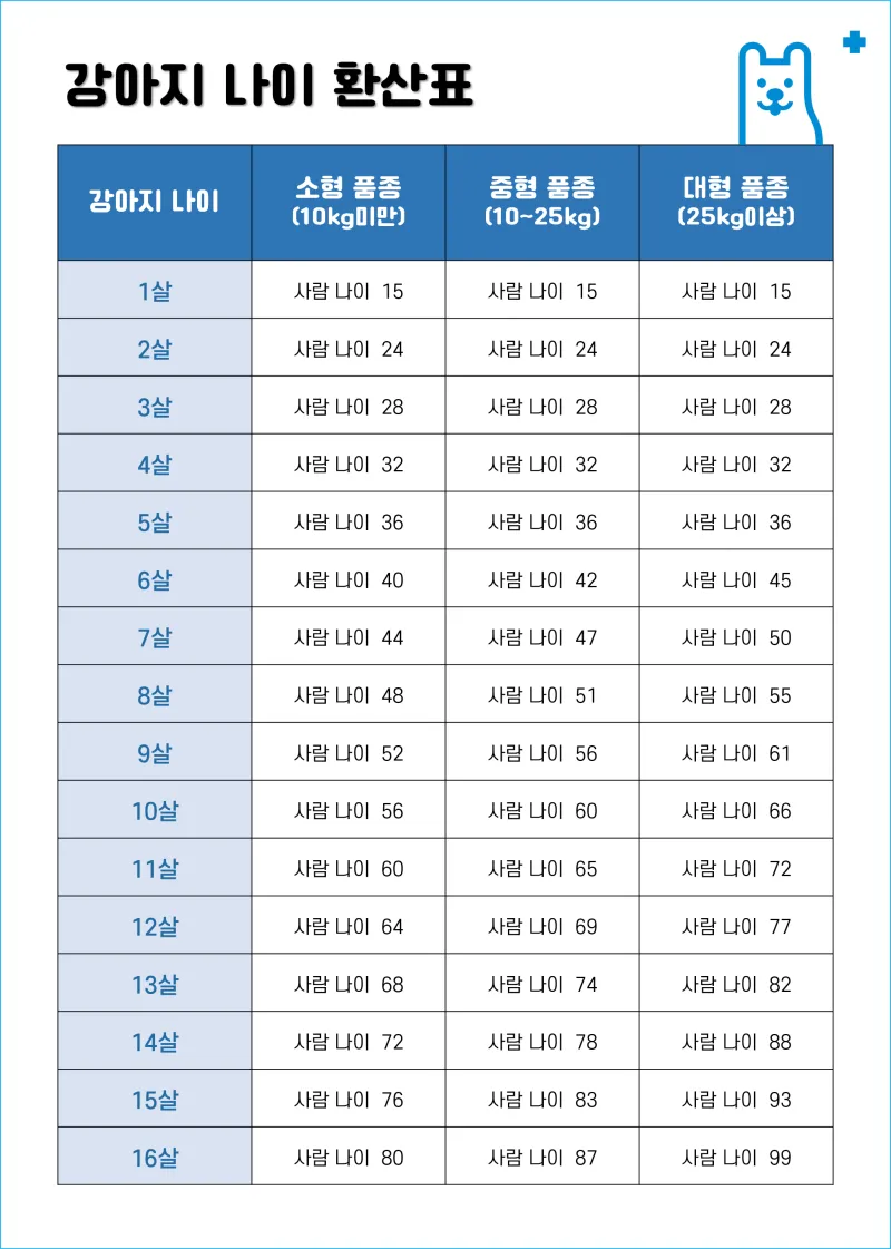 강아지 나이 환산법 가이드 실제 나이 확인 방법_6