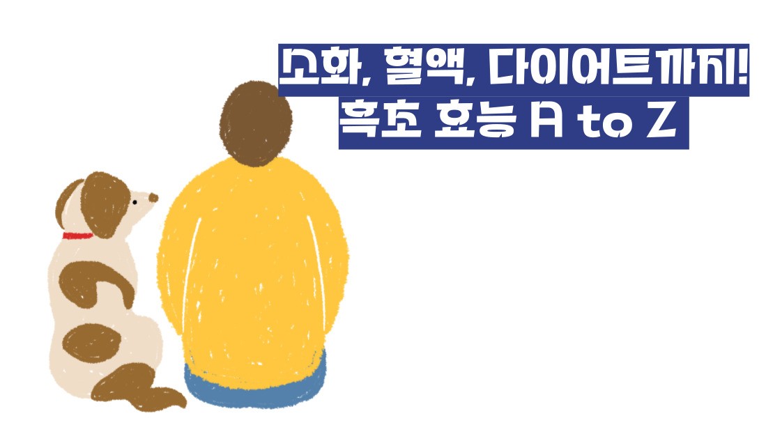 흑초 효능