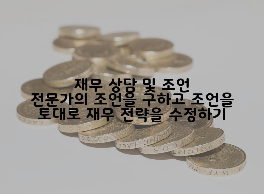 재무 상담 및 조언 전문가의 조언을 구하고 조언을 토대로 재무 전략을 수정하기