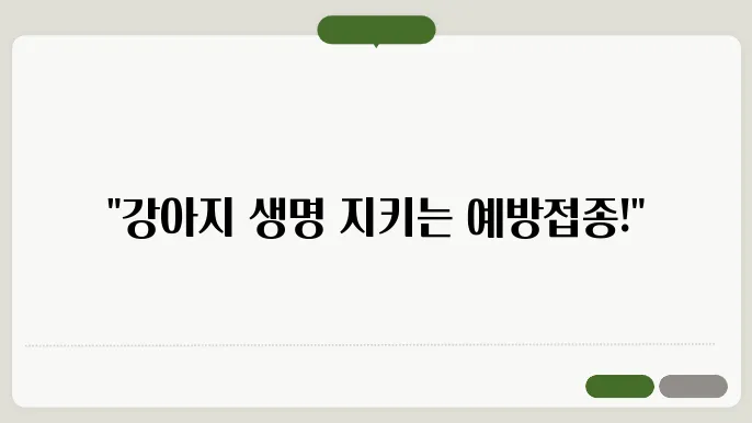강아지 예방접종 설명