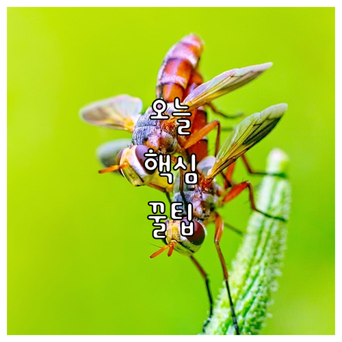 2025 군산시 시민안전보험 최대 3..