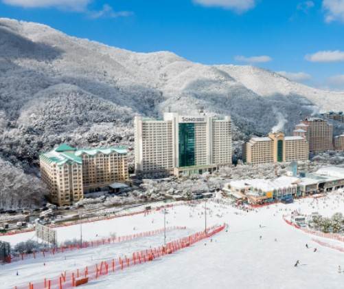 2025-2026 비발디파크 스키장 개장일 및 시즌권 안내