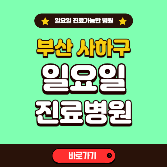 부산 사하구 일요일 진료 가능한 병원 ❘ 주말 문여는 곳 총정리 (소아과, 내과, 안과, 치과, 피부과, 정형외과, 산부인과)