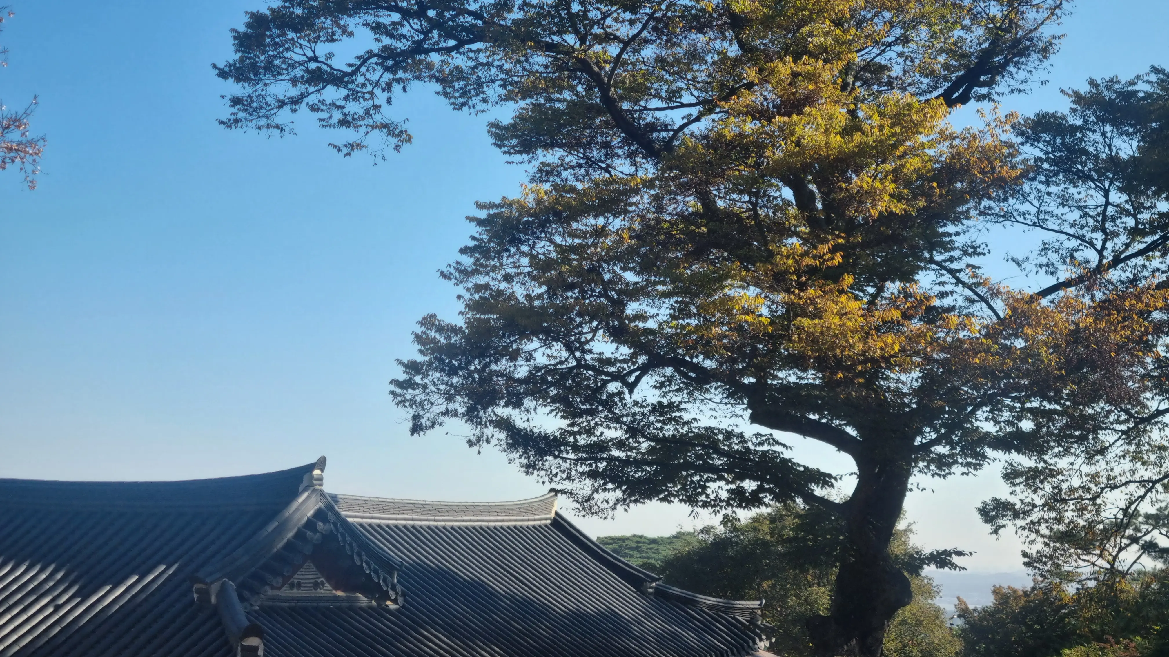 단풍이 시작된 강화 전등사, 레트로 까페 조양방직, 주차장, 메뉴 , 강화도 여행