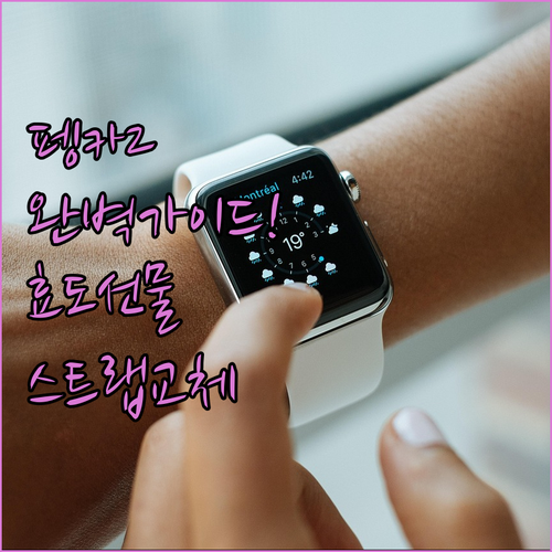 부모님 선물용 펭카 스마트워치2 사용..