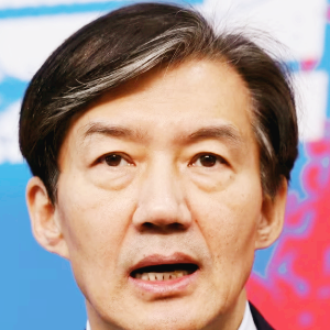 조국 관련주 대장주 주식 TOP10