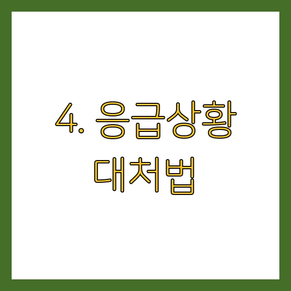 겨울철 차량 배터리 방전 막는 법! 자동차 배터리 관리 꿀팁