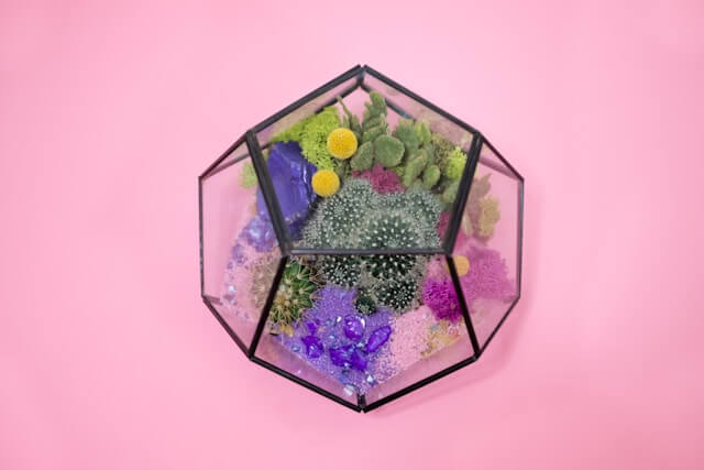 테라리움