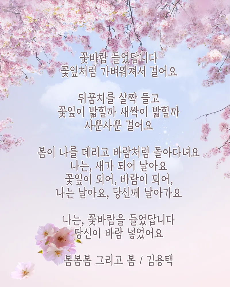 봄 시 모음 이해인 나태주 명시 모음_2