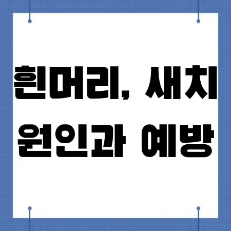 흰머리&#44; 새치 원인과 예방