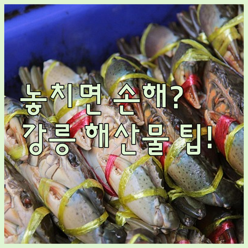 강릉항 해산물 맛집 5곳 가성비 분위..