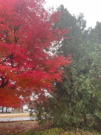 단풍구경 전국 명산 50대 이상 안전한 등산로 추천_24