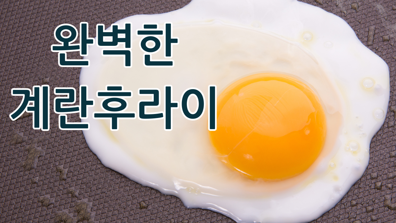 계란후라이