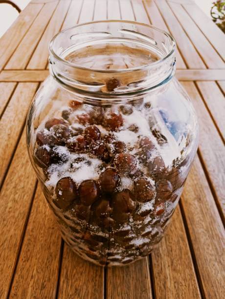 타트체리 효능&amp;#44; 불면증과 치매예방에 좋고 미국 10대 슈퍼푸드 중 하나로 선정될 정도로 몸에 좋은 효능이 너무 많습니다.