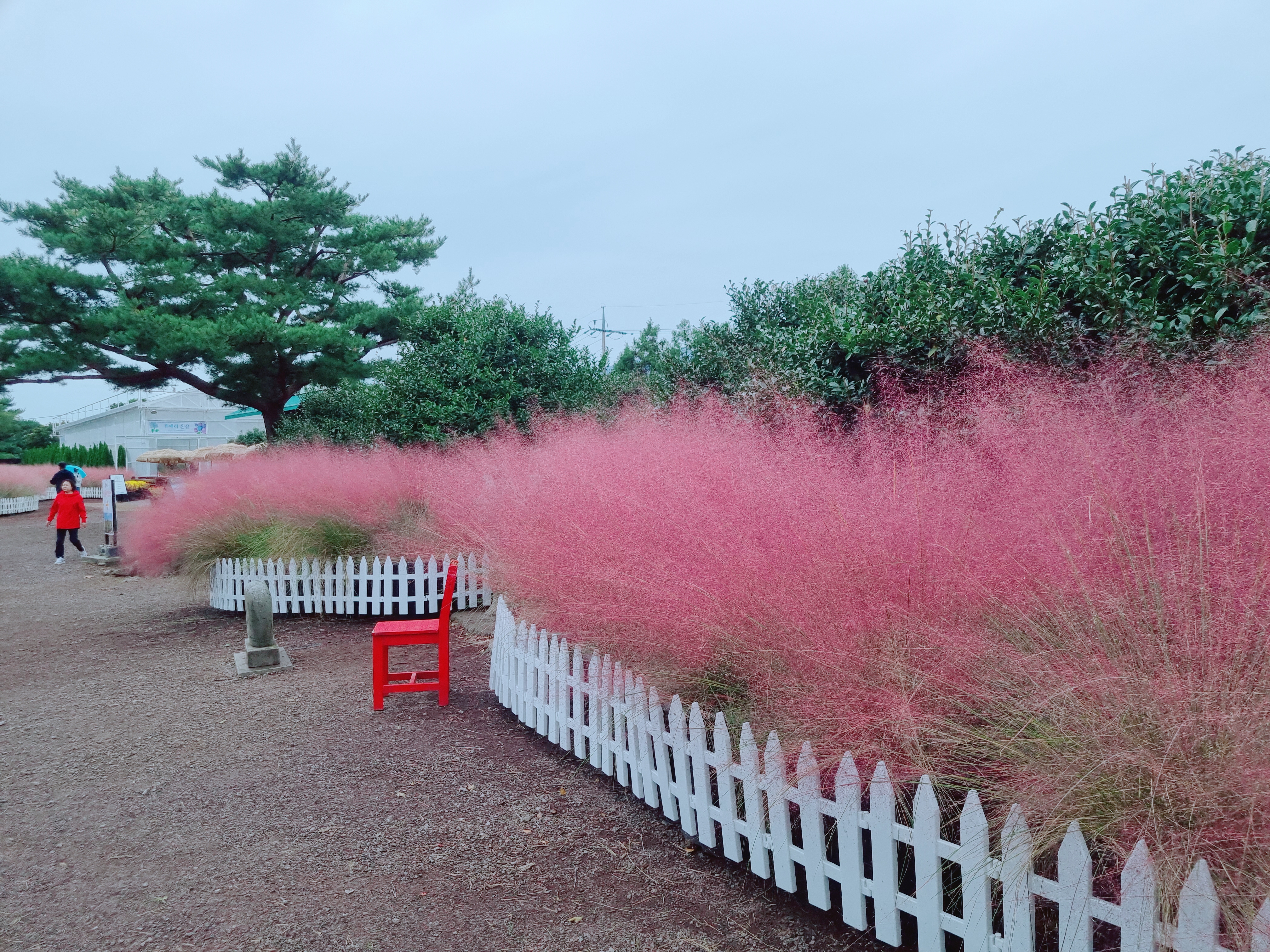 휴애리 자연생활공원