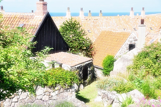 이사 후 주소 변경 서비스