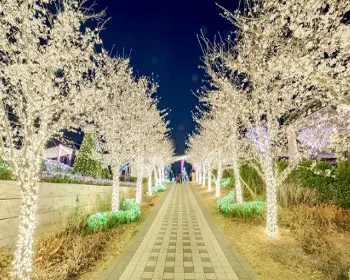 퍼스트가든 봄꽃축제 블루밍가든_18