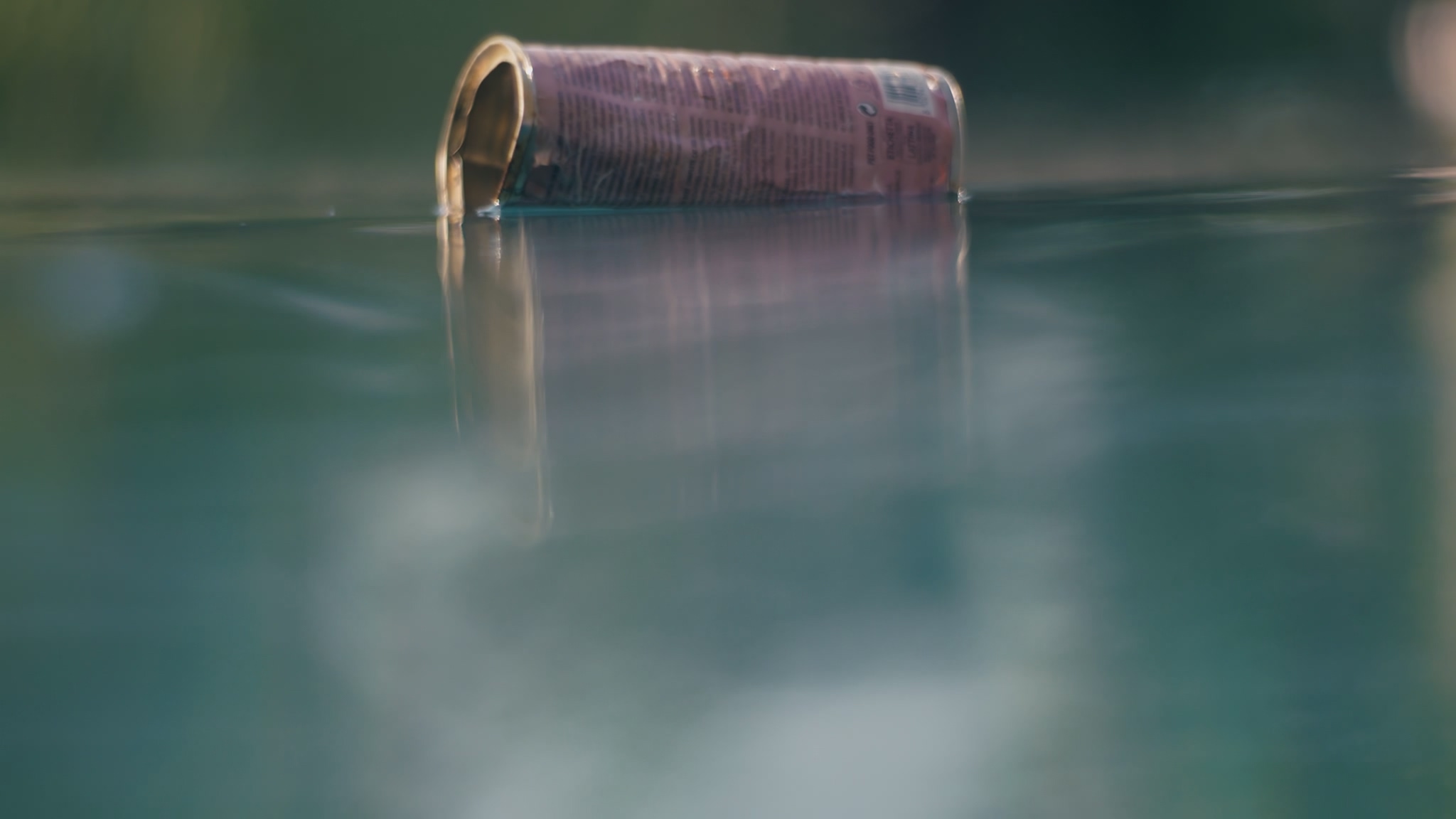 럼피스킨병 관련주, 단기 급등에 따른 '위험'은?