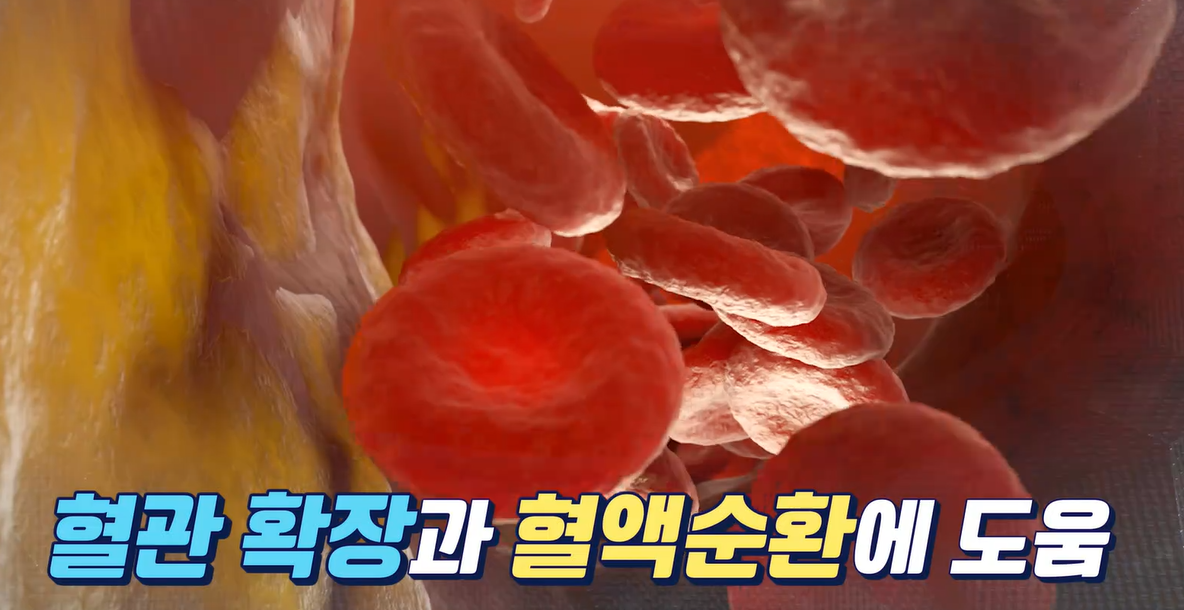 아르기닌의 효능