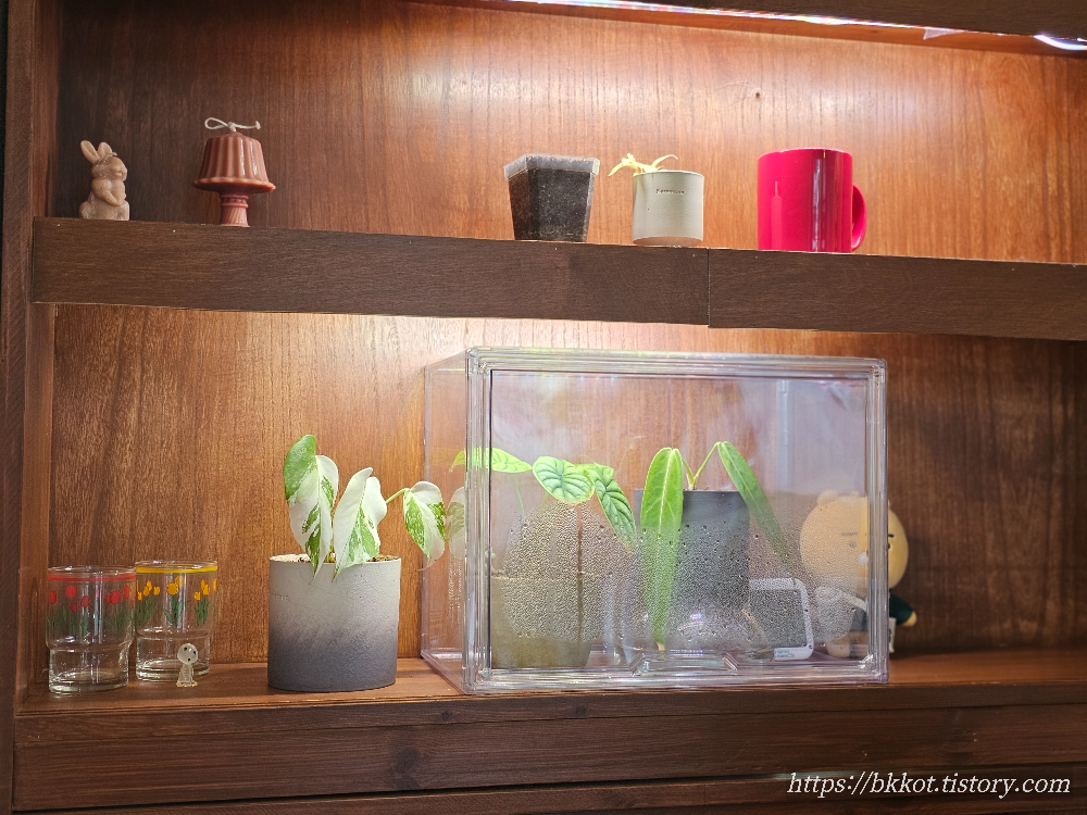 수원권선카페 카페단정