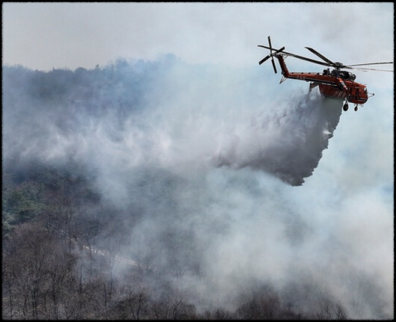 특별재난지역 관련 사진
