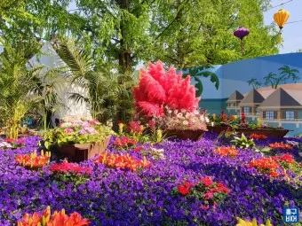 2025 고양국제꽃박람회 일정 사전예약 할인_10