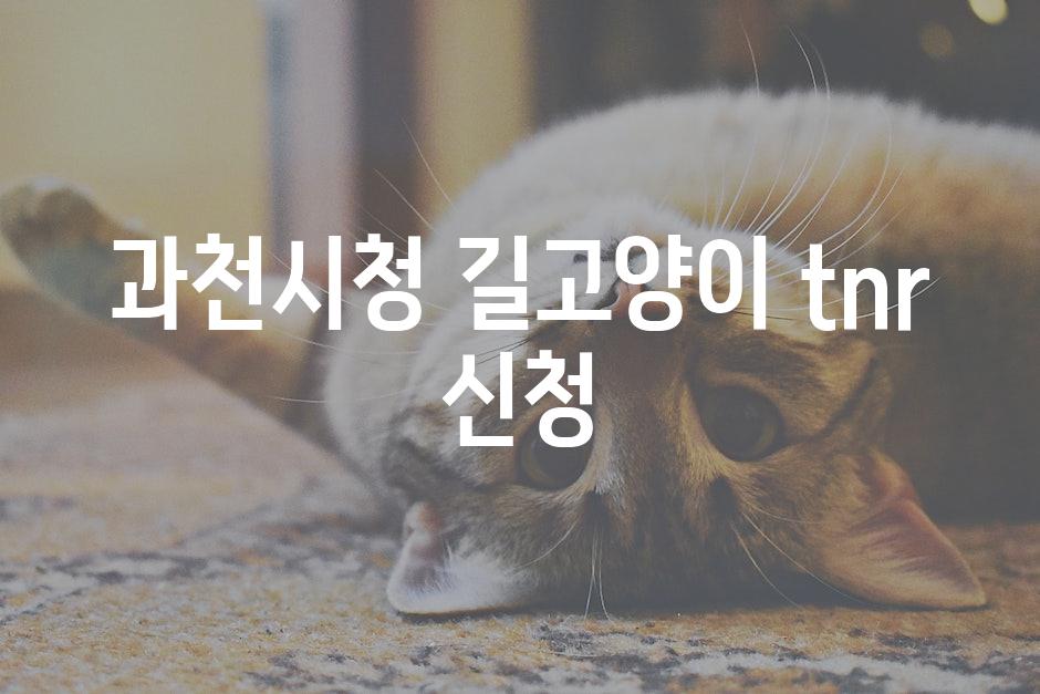 Cats 9