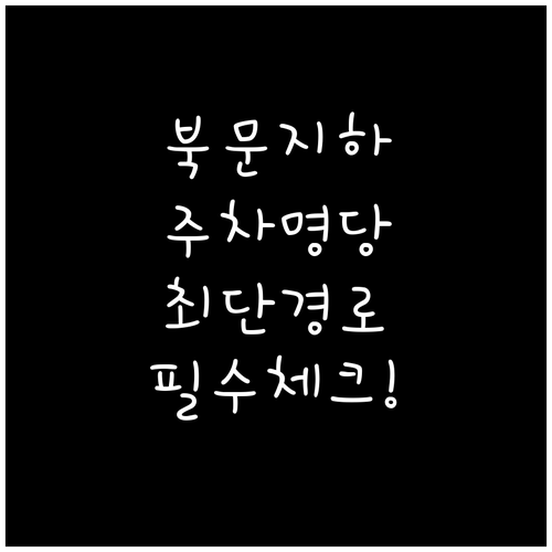 SSG 랜더스필드 주차 팁 북문 지하..