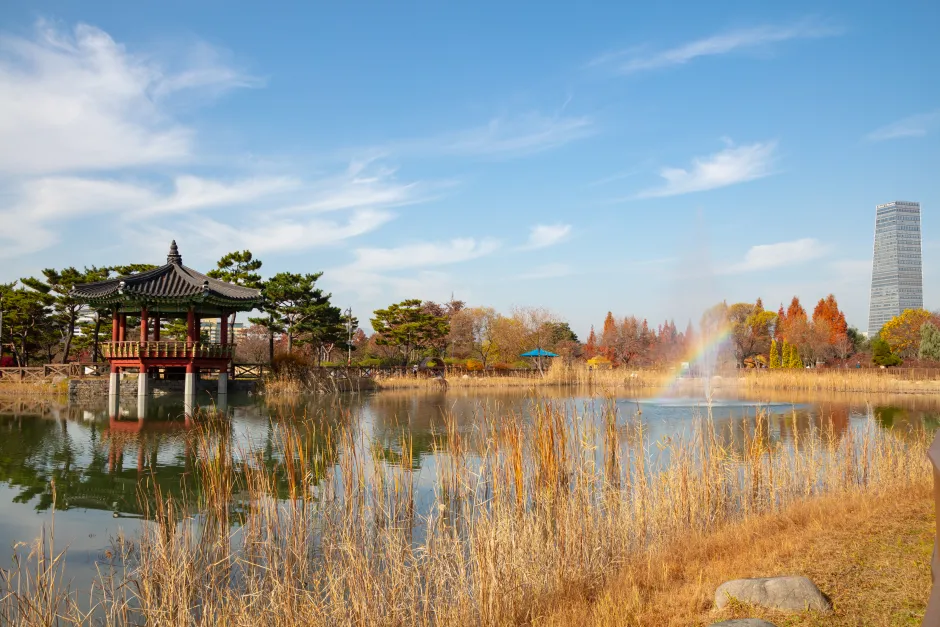 나는 빛나는 별처럼 느꼈습니다 한밭수목원 클레마티스 전시회 관람기_5