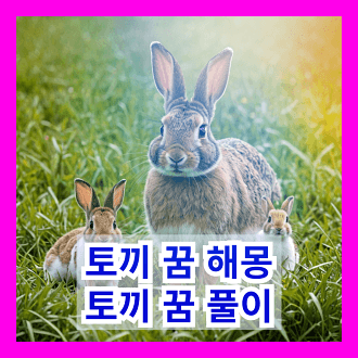 토끼 꿈 해몽 토끼 꿈 풀이