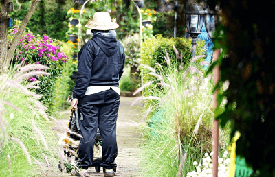 긴급돌봄 서비스 지원사업 신청방법