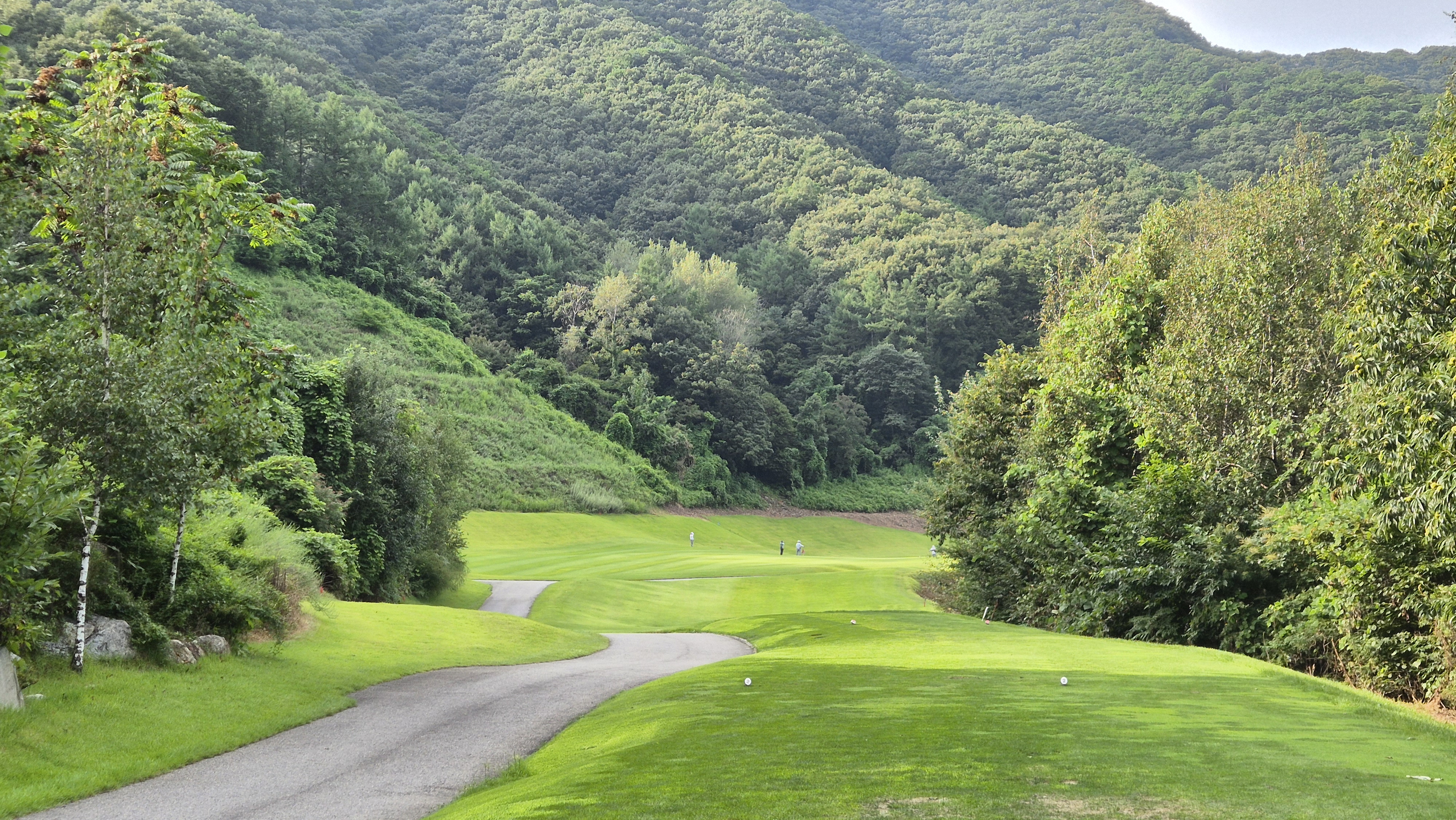 세일cc 들길-산길 코스 사진 및 공략 정보