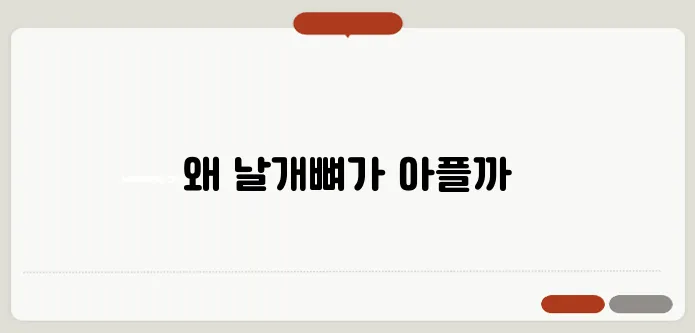 등 부위 날개뼈 통증 원인과 예방방법