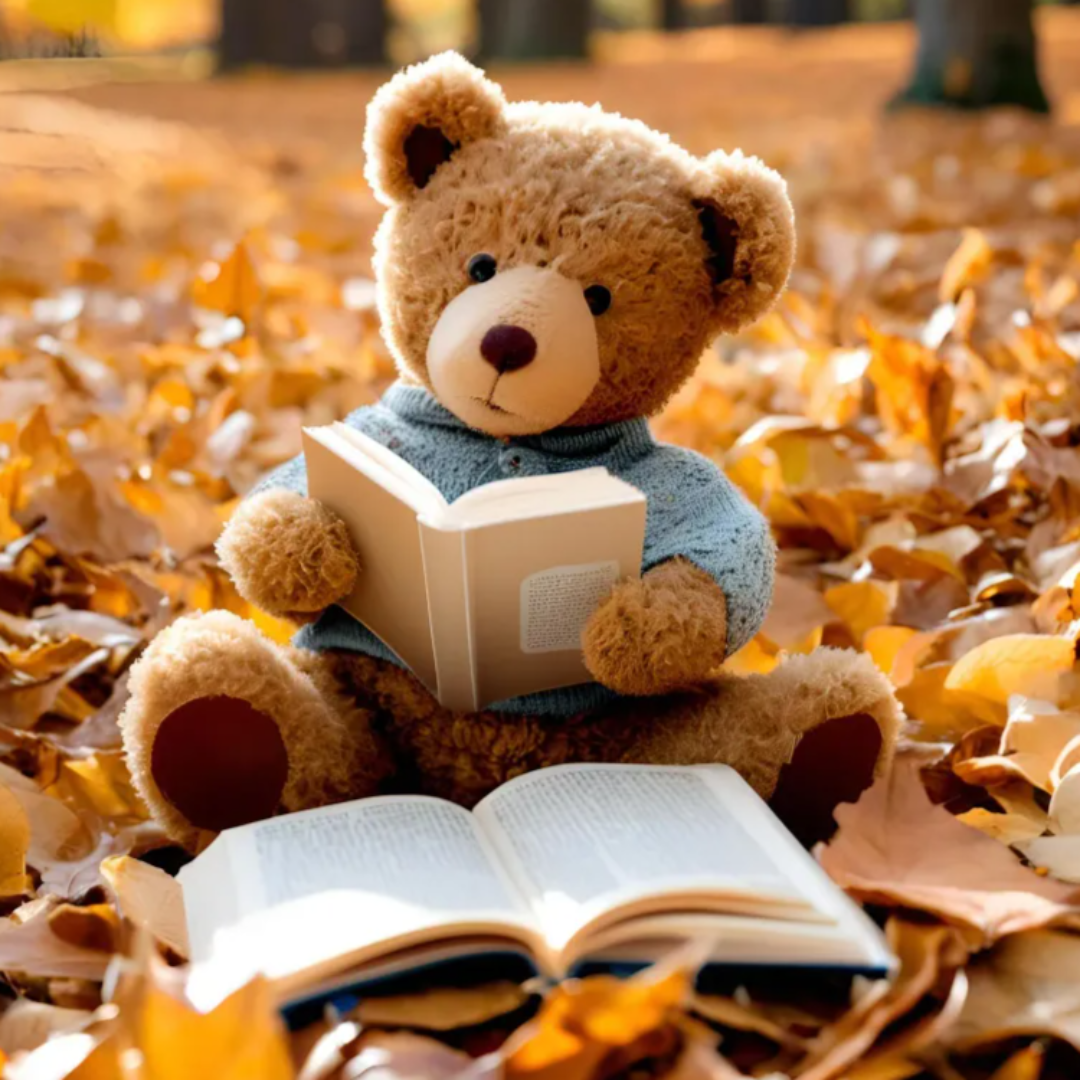 독립서점 지역 책 독서 관련 사진