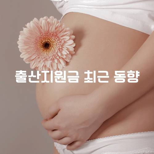 출산지원금의 최근 동향