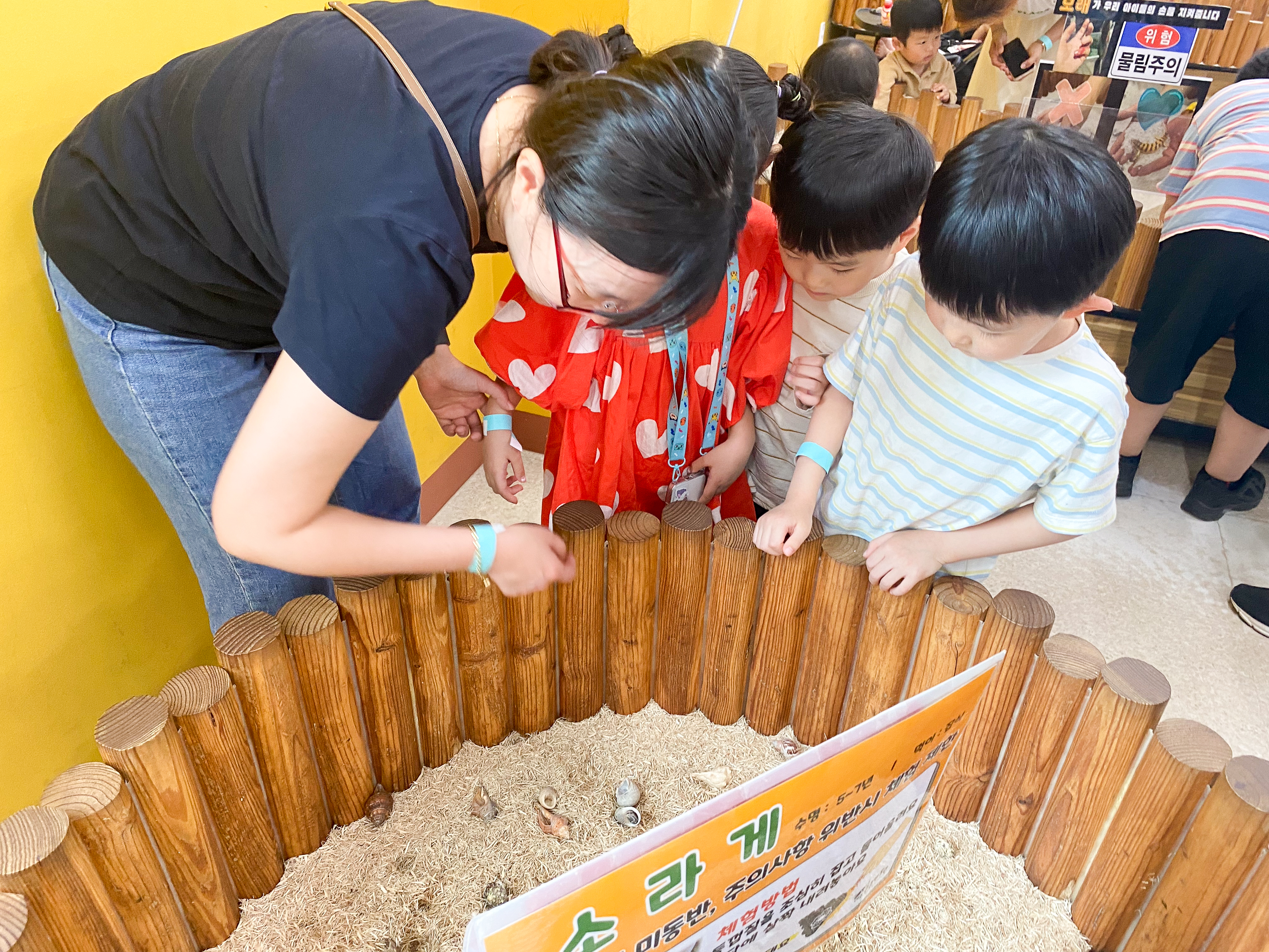 소라게 만져보기 체험